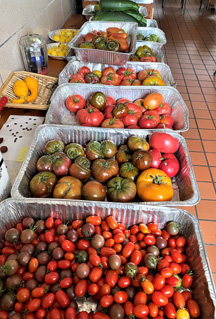 Tomatoes at Mount Saviour