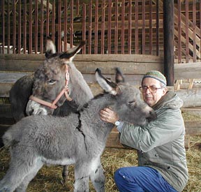 Br. Pierre & baby donkey
