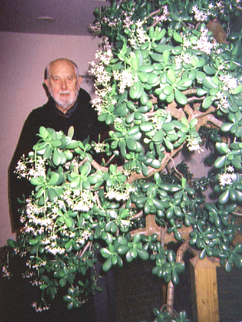 Jade plant & Fr. Martin