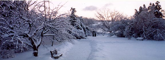 Entrance in winter